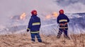 Spring forest fires are raging. Burning dry grass, reeds in the field. Grass is on fire in the meadow. Royalty Free Stock Photo