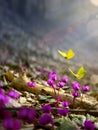 Spring forest or garden landscape; wild Spring flower and fly butterfly; nature landscape background. Garden flower