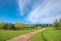 Spring forest and green grass and dirt path against the background of beautiful clouds with blue skies. Spring natural landscape. Royalty Free Stock Photo