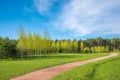 Spring forest and green grass and dirt path against the background of beautiful clouds with blue skies. Spring natural landscape. Royalty Free Stock Photo