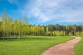 Spring forest and green grass and dirt path against the background of beautiful clouds with blue skies. Spring natural landscape. Royalty Free Stock Photo