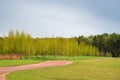 Spring forest and green grass and dirt path against the background of beautiful clouds with blue skies. Spring natural landscape. Royalty Free Stock Photo