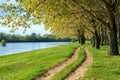 Spring forest with ground road near river, bright landscape Royalty Free Stock Photo
