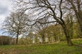 Spring Forest Hiking trail Rheinsteig, Siebengebirge Germany Royalty Free Stock Photo