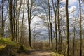 Spring Forest Hiking trail Rheinsteig in Siebengebirge Germany Royalty Free Stock Photo