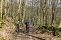 Spring Forest Hiking trail Rheinsteig in Siebengebirge Germany Royalty Free Stock Photo