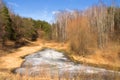 Spring forest landscape of Central Russia.