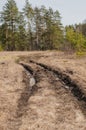 Spring forest landscape: dirty path with puddles, hiking trial Royalty Free Stock Photo