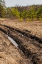 Spring forest landscape: dirty path with puddles, hiking trial Royalty Free Stock Photo