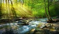 Spring forest nature landscape,  beautiful spring stream, river rocks in mountain forest Royalty Free Stock Photo