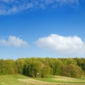 Spring forest over blue sky 7 Royalty Free Stock Photo