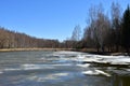 Spring forest pond, melting ice and snow over the water. Birch grove. The willows bent their branches Royalty Free Stock Photo