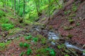 Spring forest river in the mountains Royalty Free Stock Photo