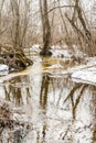 Spring forest stream consisting of meltwater, meltwater stream flows in the wild forest, spring snow melt Royalty Free Stock Photo