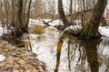 Spring forest stream consisting of meltwater, meltwater stream flows in the wild forest, spring snow melt Royalty Free Stock Photo