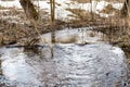 Spring forest stream consisting of meltwater, meltwater stream flows in the wild forest, spring snow melt Royalty Free Stock Photo