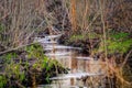 Spring forest stream among trees Royalty Free Stock Photo