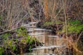 Spring forest stream among trees Royalty Free Stock Photo