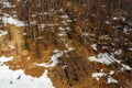 Spring Forest view from sky lift