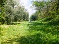 Spring forest trail in Italy Royalty Free Stock Photo