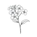 spring Forget Me Not flower ai generated