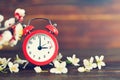 Spring forward. Daylight Saving Time Royalty Free Stock Photo