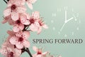 Spring Forward Royalty Free Stock Photo