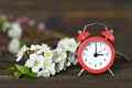 Spring forward. Daylight Saving Time Royalty Free Stock Photo