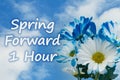 Spring forward 1 hour daylight savings time message with blue daisies Royalty Free Stock Photo