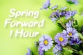 Spring Forward 1 Hour Daylight Savings Time message with bunch of flowers on green background Royalty Free Stock Photo