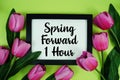 Spring Forward 1 Hour Daylight Savings Time message with bunch of flowers on green background Royalty Free Stock Photo