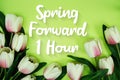 Spring Forward 1 Hour Daylight Savings Time message with bunch of flowers on green background Royalty Free Stock Photo