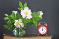 Spring forward. Summer time change concept Royalty Free Stock Photo