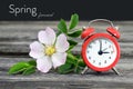 Spring forward. Summer time change Royalty Free Stock Photo