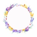 Spring frame with colorful crocus flowers.