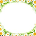 Spring Frame With Flowers White Camomiles Isolated