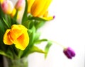 Spring fresh bouquet of colorful beautiful yellow tulips - holidays
