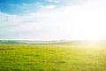 Spring fresh bright green grass at sunset on a warm sunny day. Background of a green grass. Green grass texture Royalty Free Stock Photo