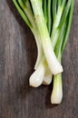 Spring fresh green onion Royalty Free Stock Photo