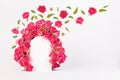 Spring fresh pink roses as framing of arch with flying green leaves and buds as flow swirl for presentation cosmetic products.