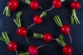 Spring fresh radishes background on the black slate board Royalty Free Stock Photo