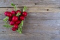 Spring fresh radishes background Royalty Free Stock Photo