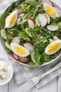 Spring fresh salad with radish, cucumber, leafy vegetables and boiled eggs close-up in a plate. Vertical top view