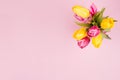 Spring fresh tulips yellow and red bouquet on pastel pink background. Royalty Free Stock Photo