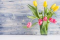 Spring fresh tulips yellow and red bouquet on rustic shabby blue wooden background. Royalty Free Stock Photo