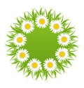 Spring freshness round card with grass and camomiles flowers