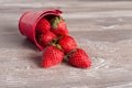 Spring fruits, strawberries in an aluminum bucket Royalty Free Stock Photo