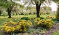 spring garden and apple orchard blooming behind