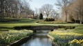 Spring garden bridge, daffodils, stream, house, park Royalty Free Stock Photo