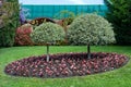 Spring garden exterior - fresh green lawn, ornamental trees, shrubs and flowers. Landscape design concept Royalty Free Stock Photo